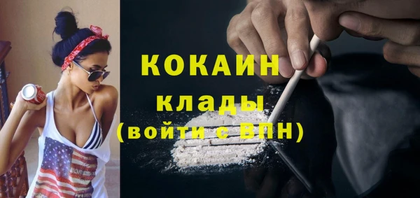 мдпв Козловка