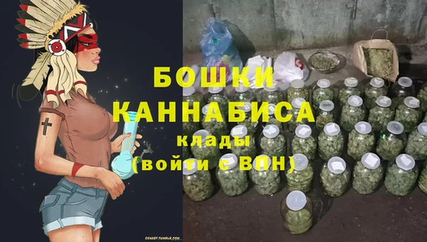 мдпв Козловка
