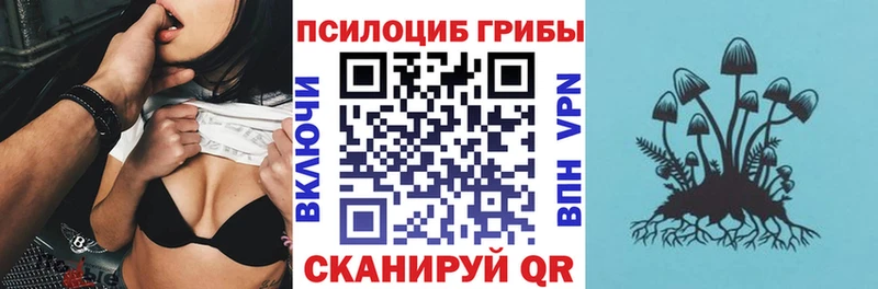 Купить закладки  Будённовск  Галлюциногенные грибы Psilocybine cubensis 